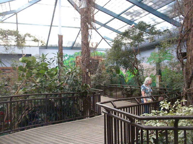 The Zoo Review Zoo Review Cape May County Park & Zoo