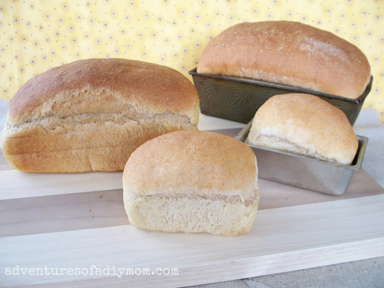 Best Homemade Wheat Bread Recipe