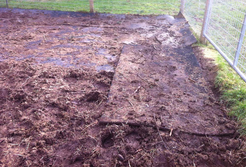 The Reluctant Homesteaders Mud Control
