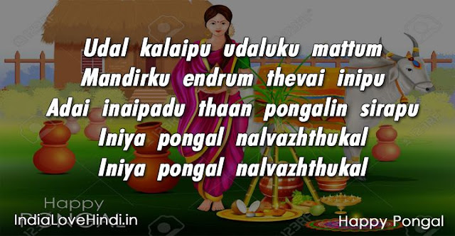 pongal wishes, pongal quotes, pongal sms, pongal messages, pongal images, pongal photos, happy pongal wishes, pongal status, pongal greeting card, pongal quotes in english, pongal quotes in tamil, pongal quotes in telugu, thai pongal, muttu pongal