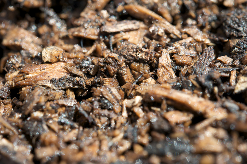 Grow Your Own Composting The Making of Black Gold