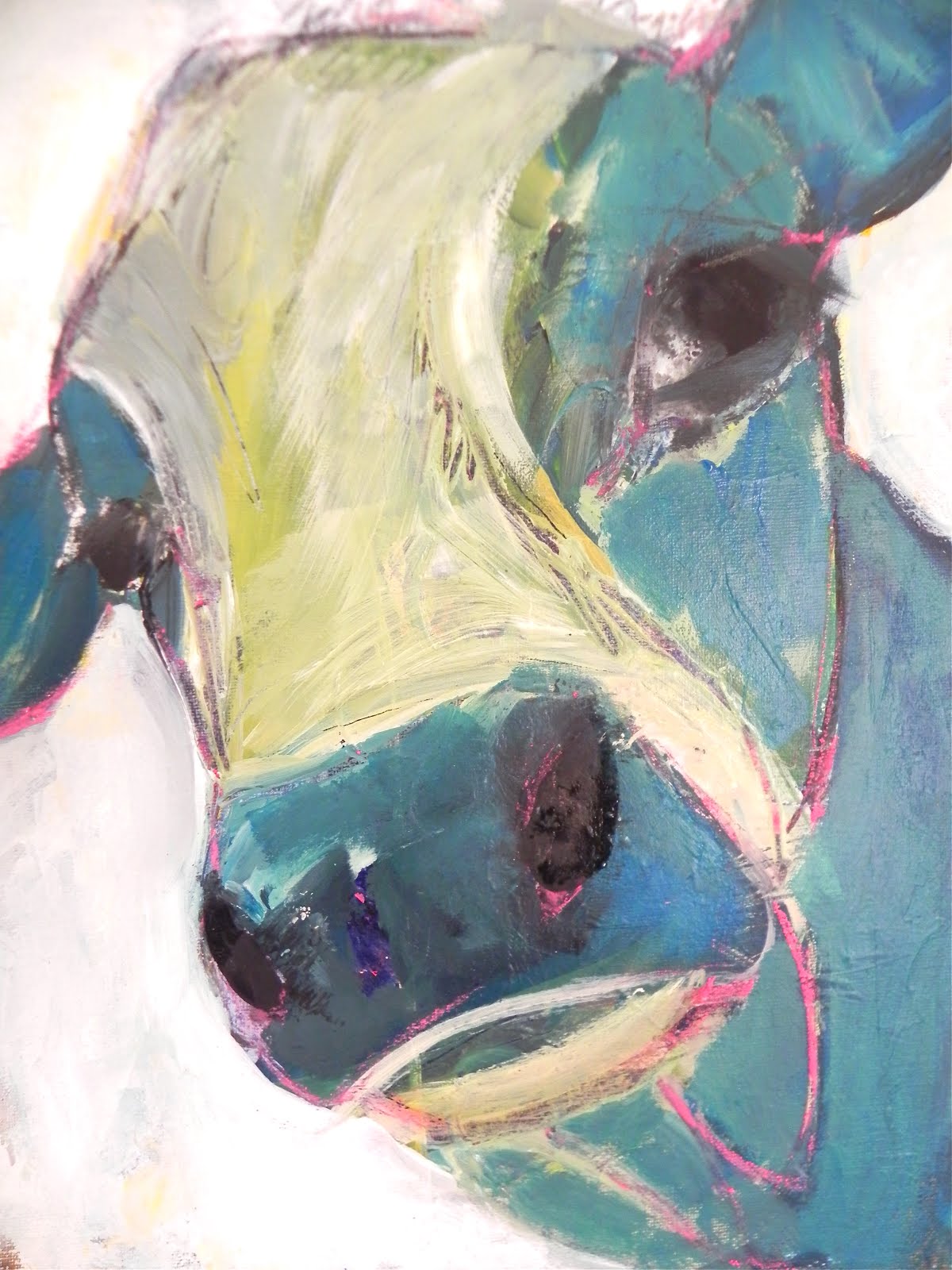 fine art prints cows