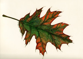 Autumn Oak Leaves