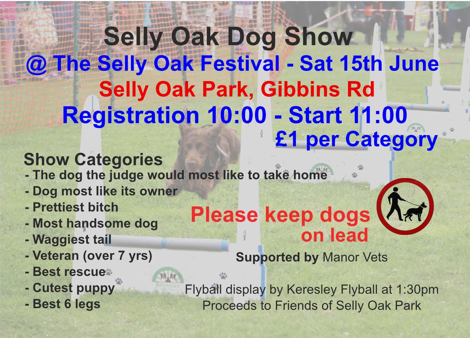 Equivalence thesis euthanasia image