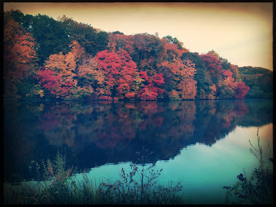 Foliage colors / across the still lake water / lit by the dawn sky. // haiku - micropoetry - haikumages