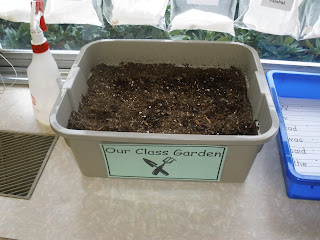 The Art of Teaching: A Kindergarten Blog: Plant Unit