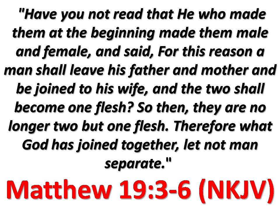 Jesus Is My Hero Husbands And Wives Becoming One Flesh jesus-is-my-hero-husbands-and-wives-becoming-one-flesh