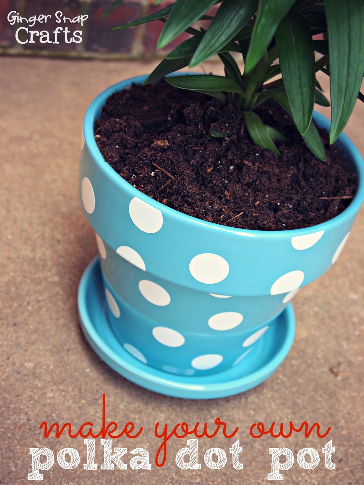 Ginger Snap Crafts Make Your Own Polka Dot Pot {tutorial} lilylove