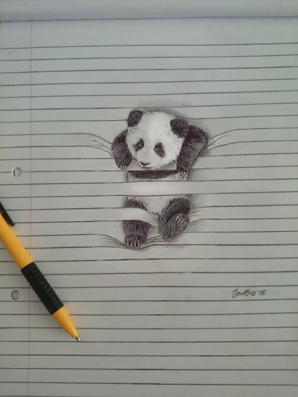 05-Panda-Iantha-Naicker-Drawing-of-Lines-and-Animals-www-designstack-co