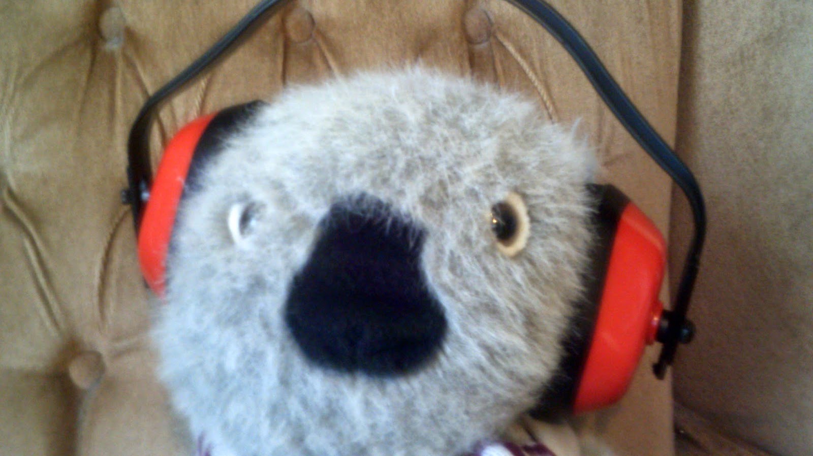 wigton physics Ear defenders and decibels