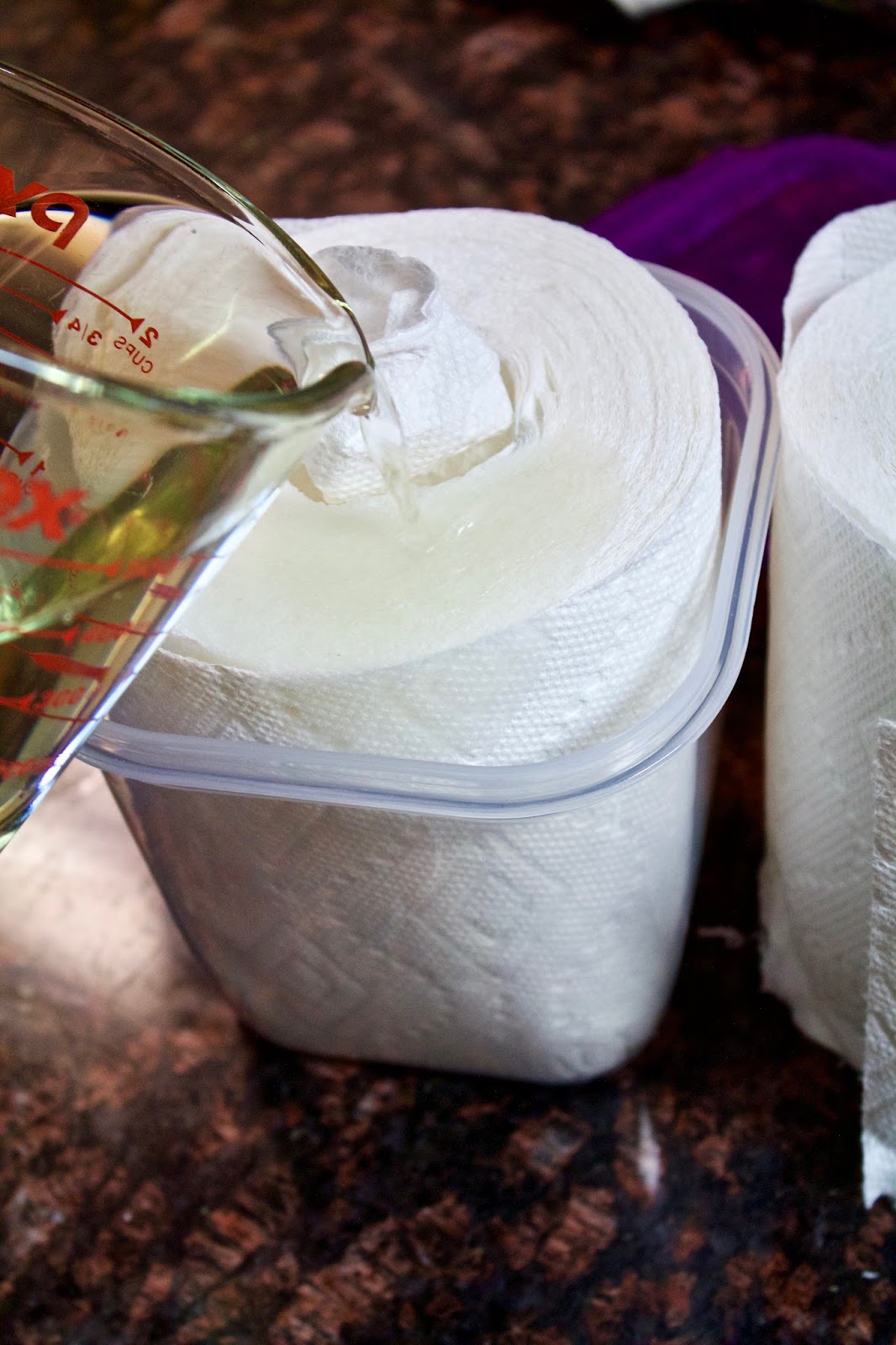 DIY Chemical Free Household Cleaning Wipes {Tutorial} Amy Clary
