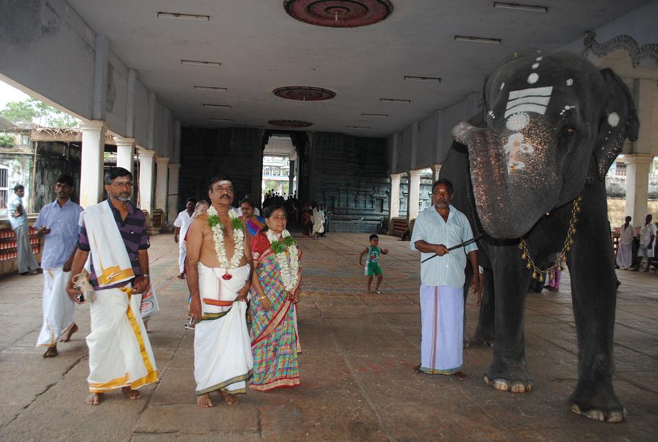 sashtiapthapoorthi-gaja-pooja-elephant-prayer