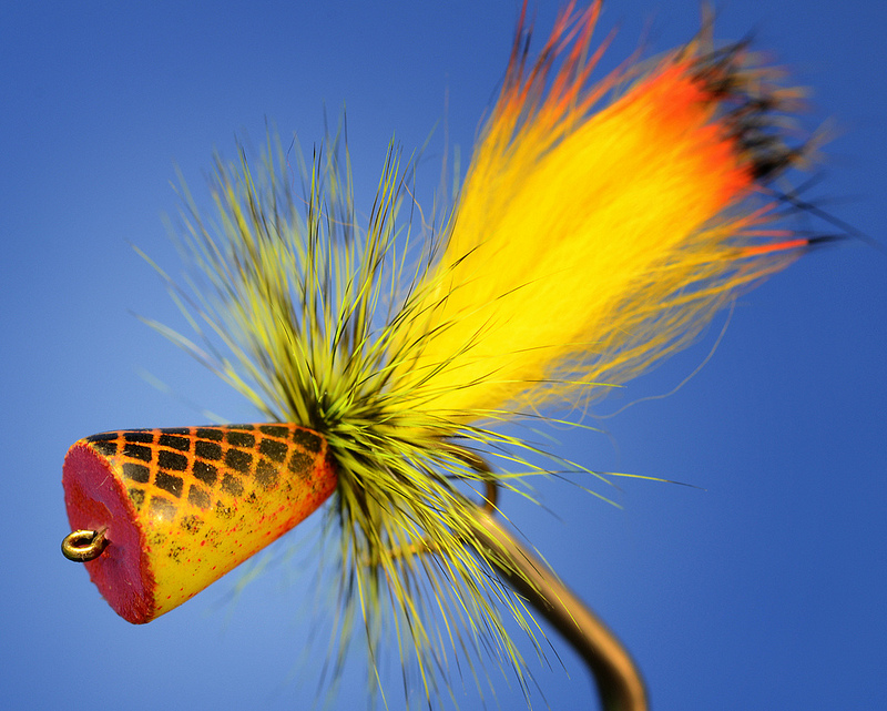 Bluegill on Poppers Fly Fish Food