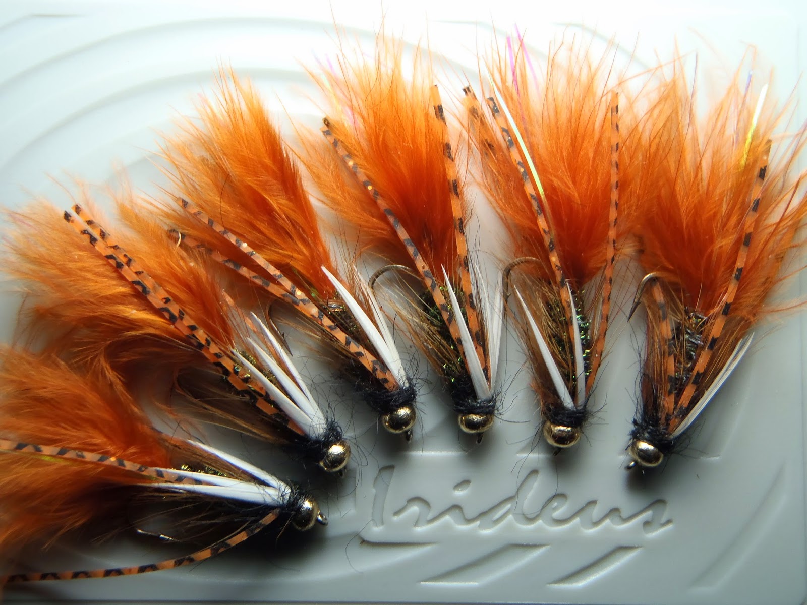 Irideus Fly Fishing Products Fly fishing our local trout streams and