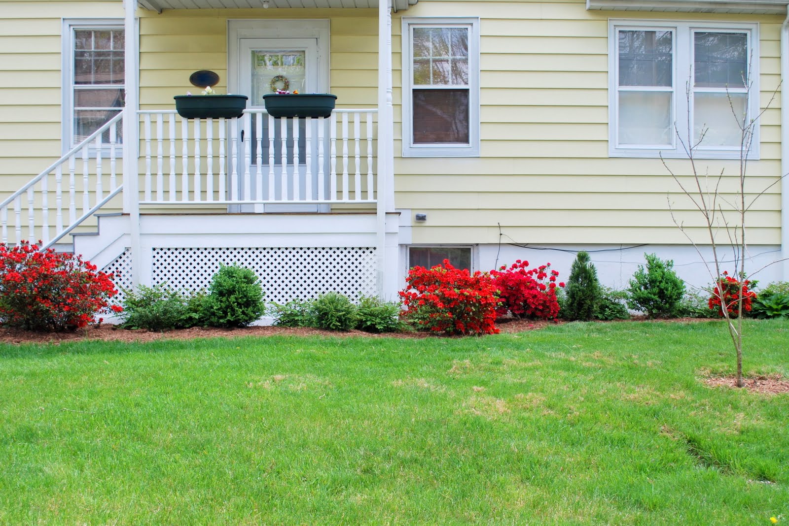 In the Little Yellow House Mulching the Front Yard