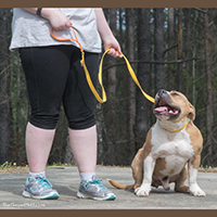 West Paw Strolls Dog Leash with Comfort Grip Review