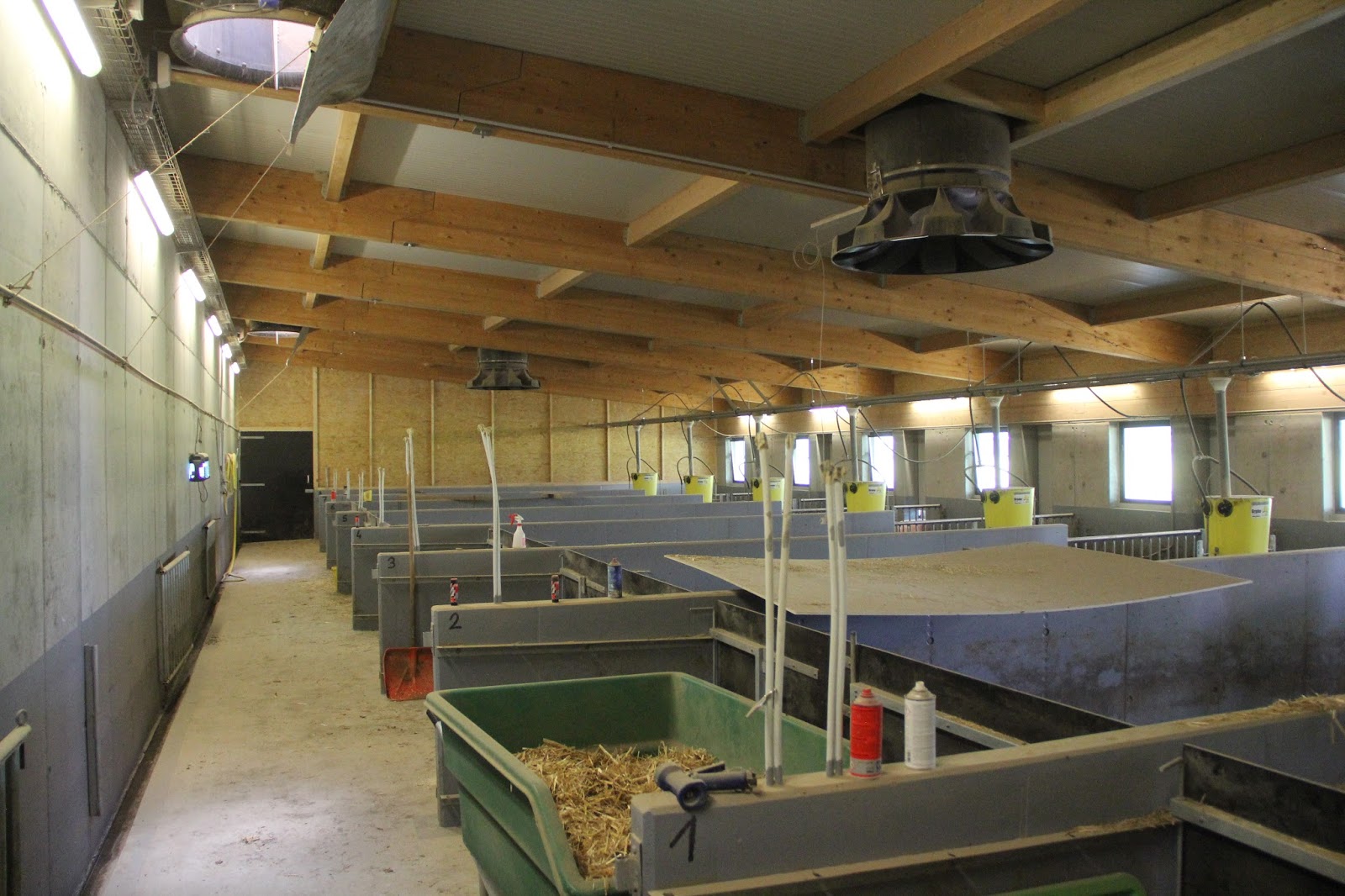 Stallkomfort: Schweinemaststall Stefan Balmer, Altishofen
