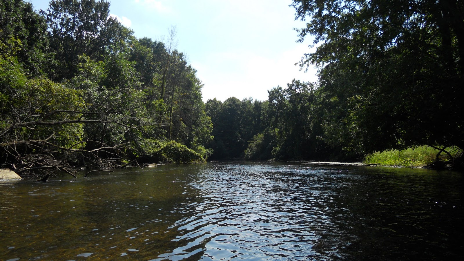 Canoeing the Thornapple River One of Michigan's Most Underrated Rivers.