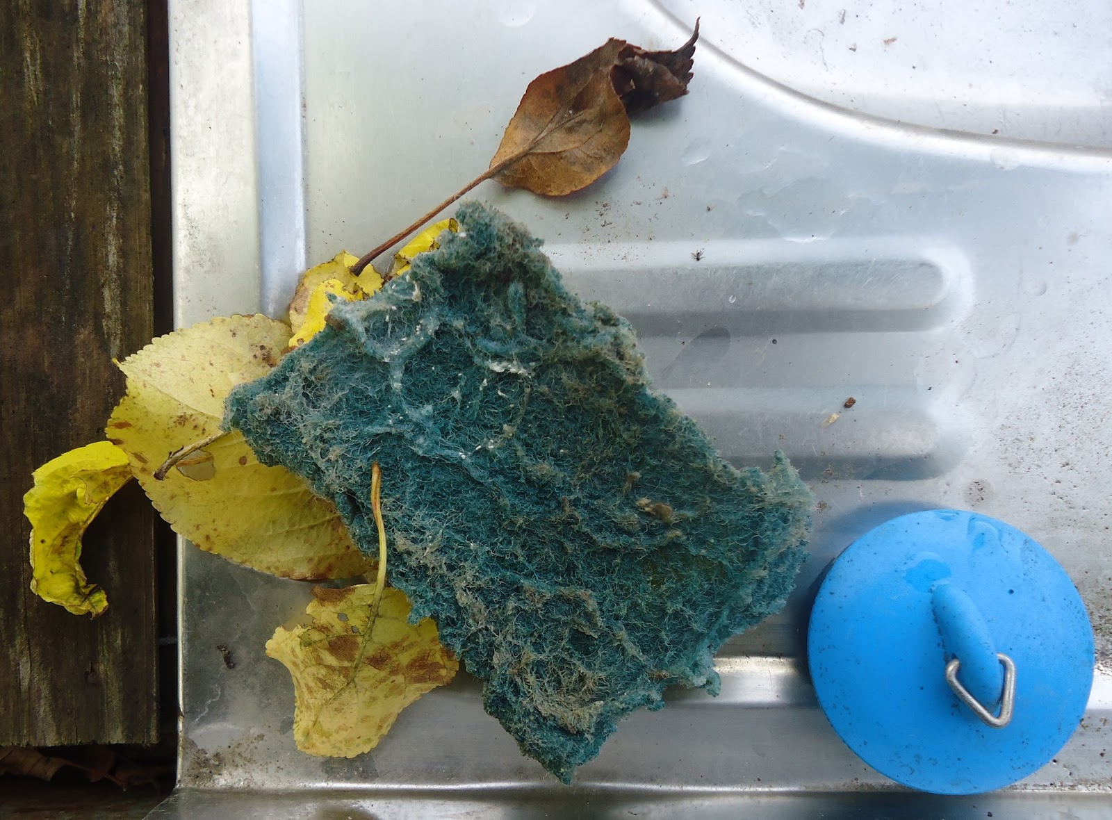 šis tas apie šį tą (1015) Visiškai tarp kitko du natiurmortu ir