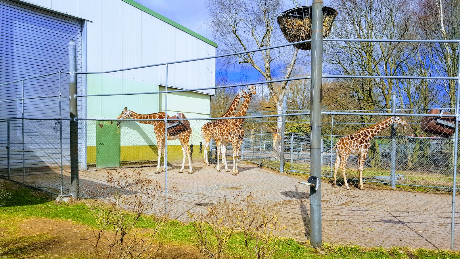 Mucke Vom Old Inn Meta Und Fehnhaus 2020