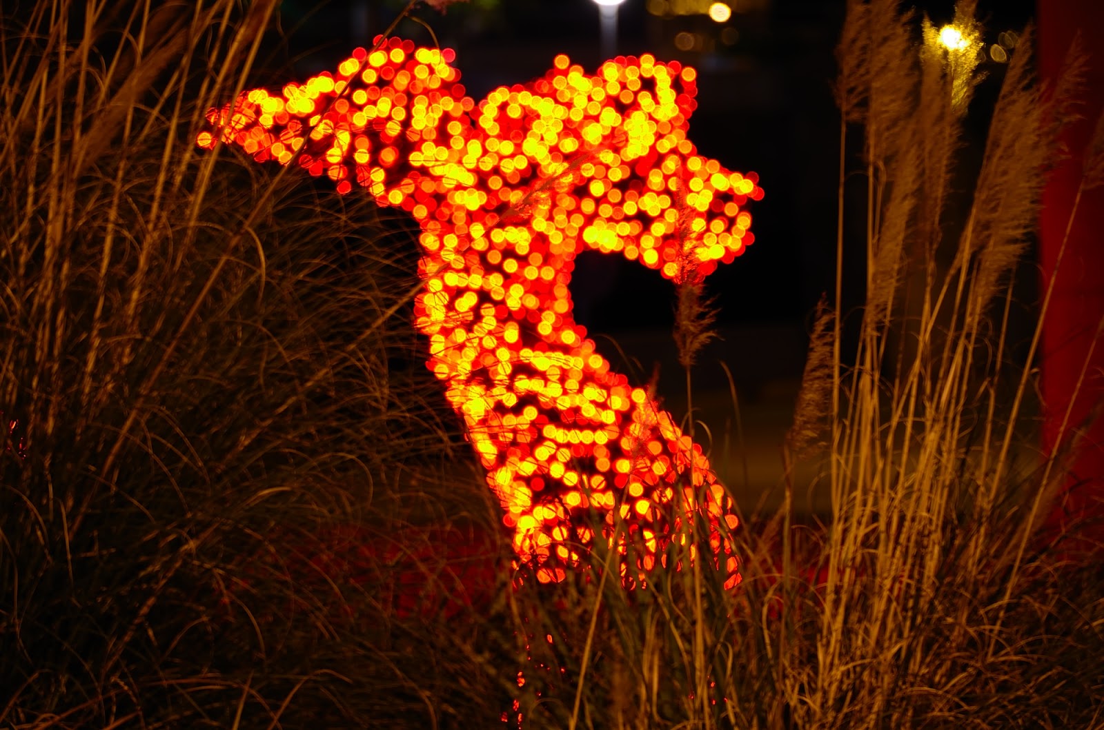 2DRAGON_35814.JPG