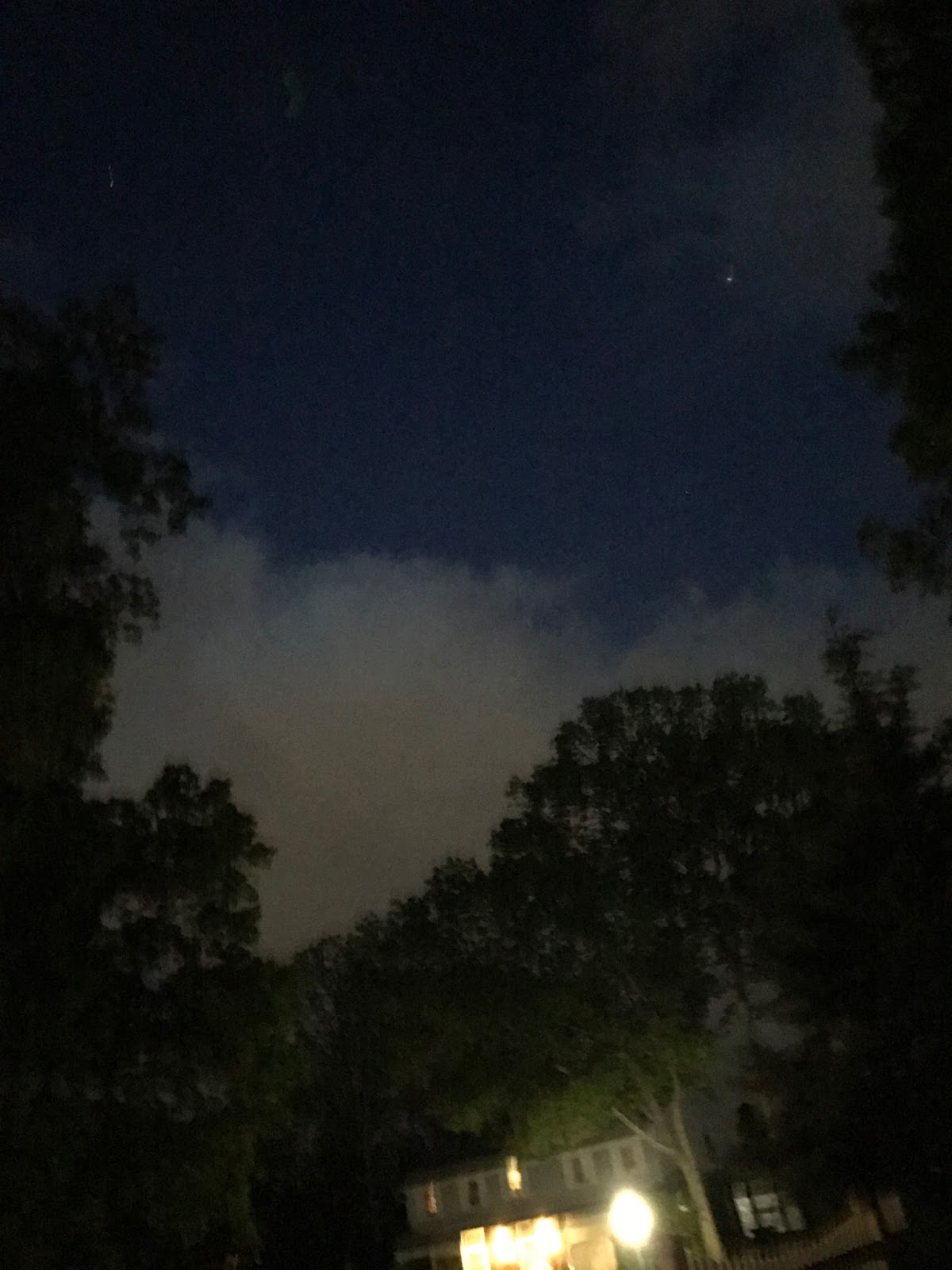 Mrs. Cicione's Science Site: May 2017