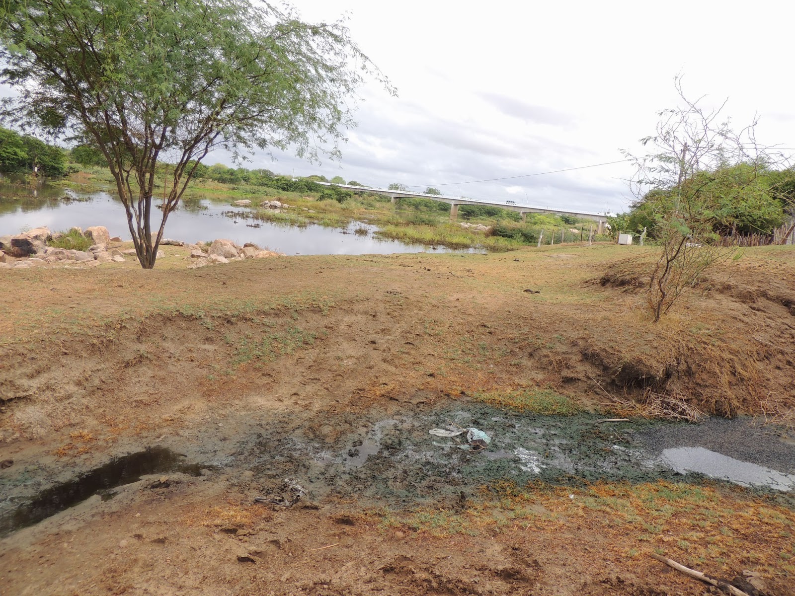 O MUNICÍPIO DE JARDIM DE PIRANHAS, ADMINISTRAÇÃO ELÍDIO ARAÚJO DE