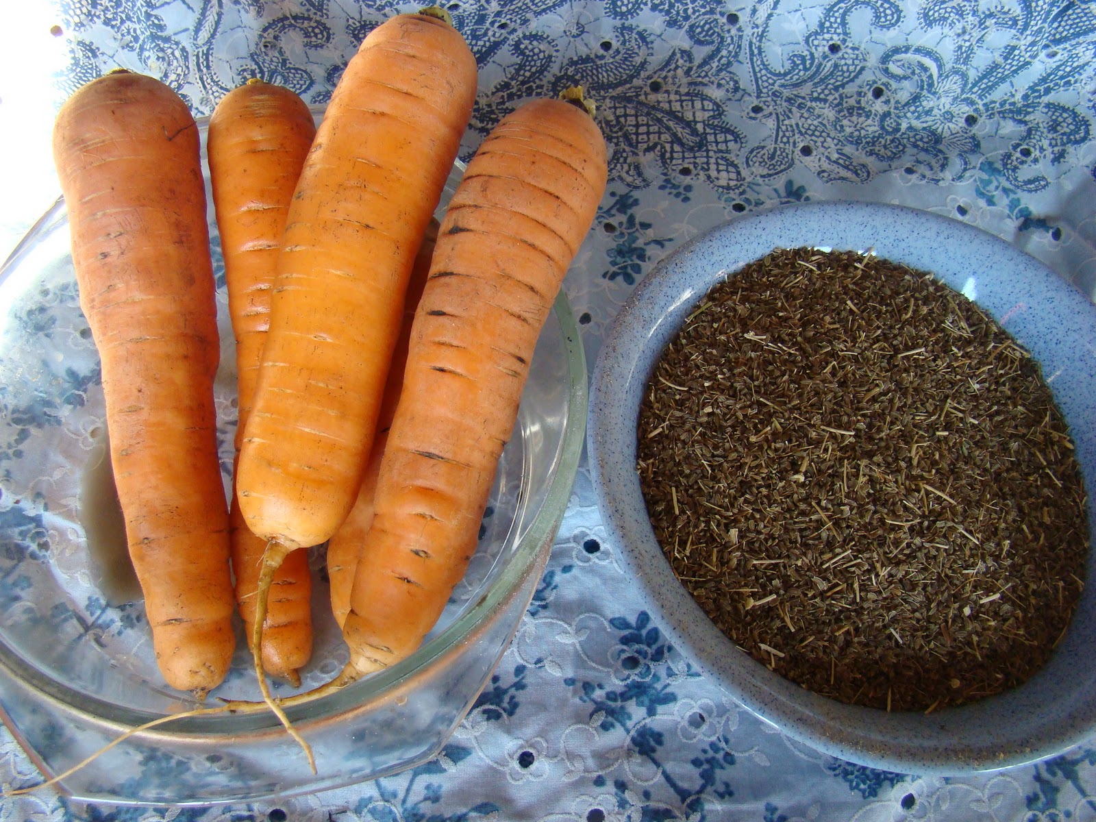 Морковь сорт Нандрин