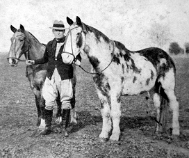 DÍA NACIONAL DEL CABALLO 20 de Septiembre