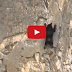 Watch: Incredible Rock Climbing Black Bears