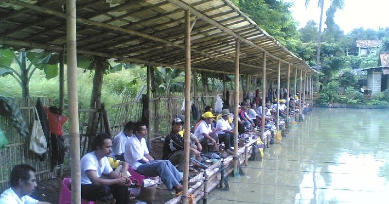 Desain Kolam Ikan Pemancingan Quotes Diary l Desain Kolam Ikan Pemancingan Quotes Diary l