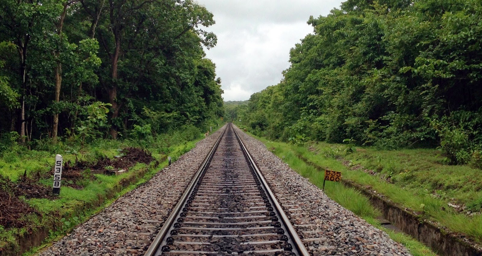 The railway track to Goa, the one we had trekked last year to Dudhsagar
