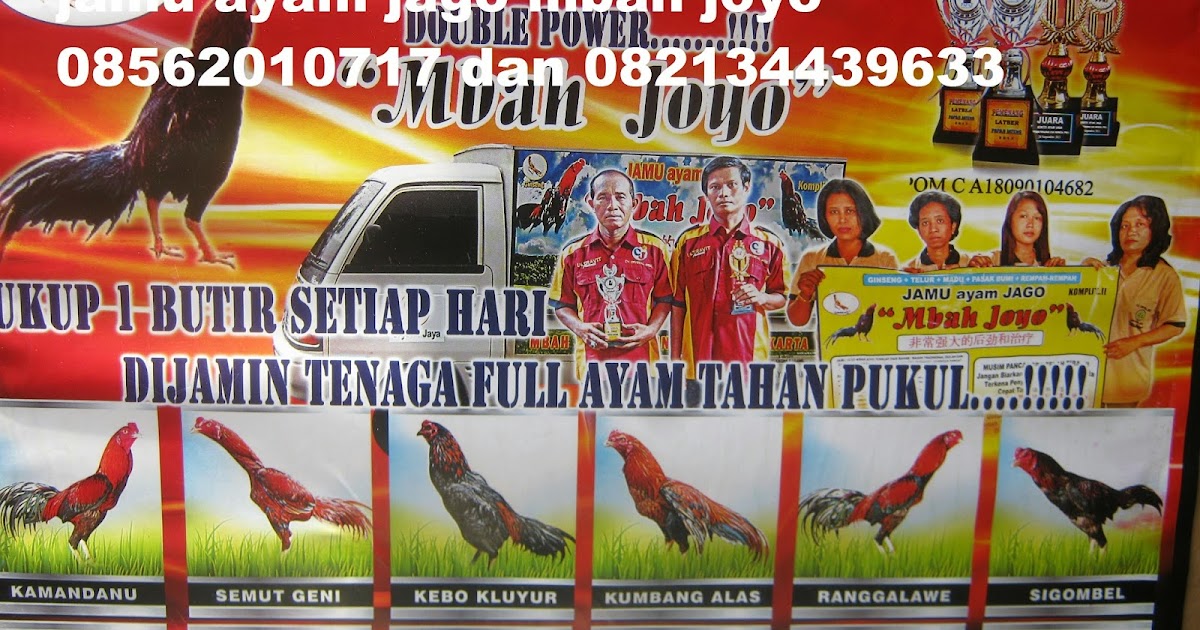 Jual Jamu Ayam Jago Merk Mbah Joyo Yogyakarta JUAL JAMU