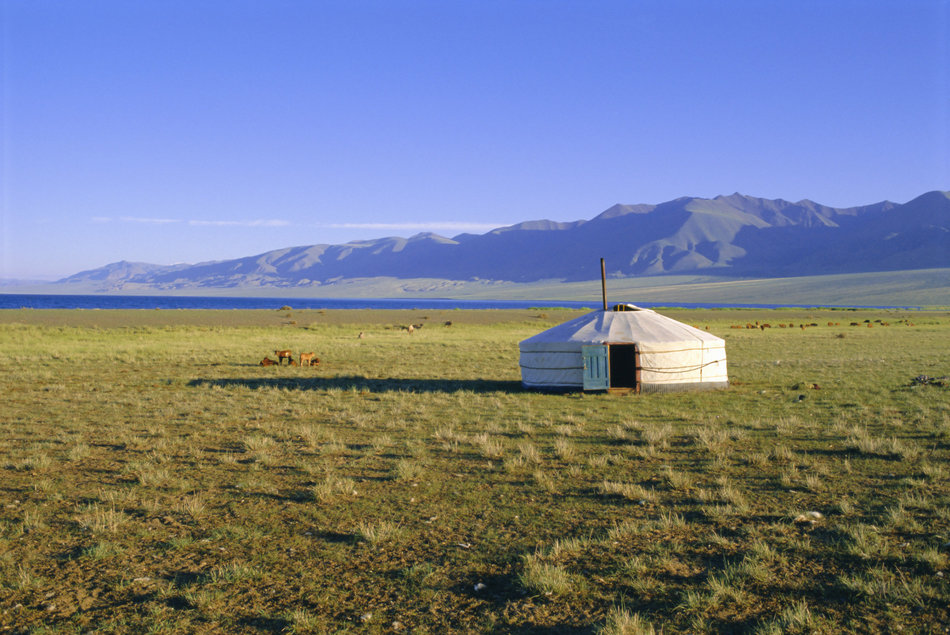 Mongolian camp