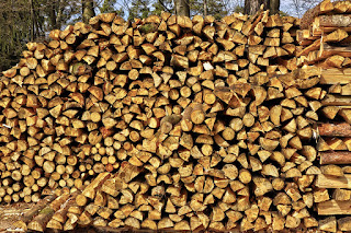 Controle da Origem dos Produtos Florestais no Código Florestal