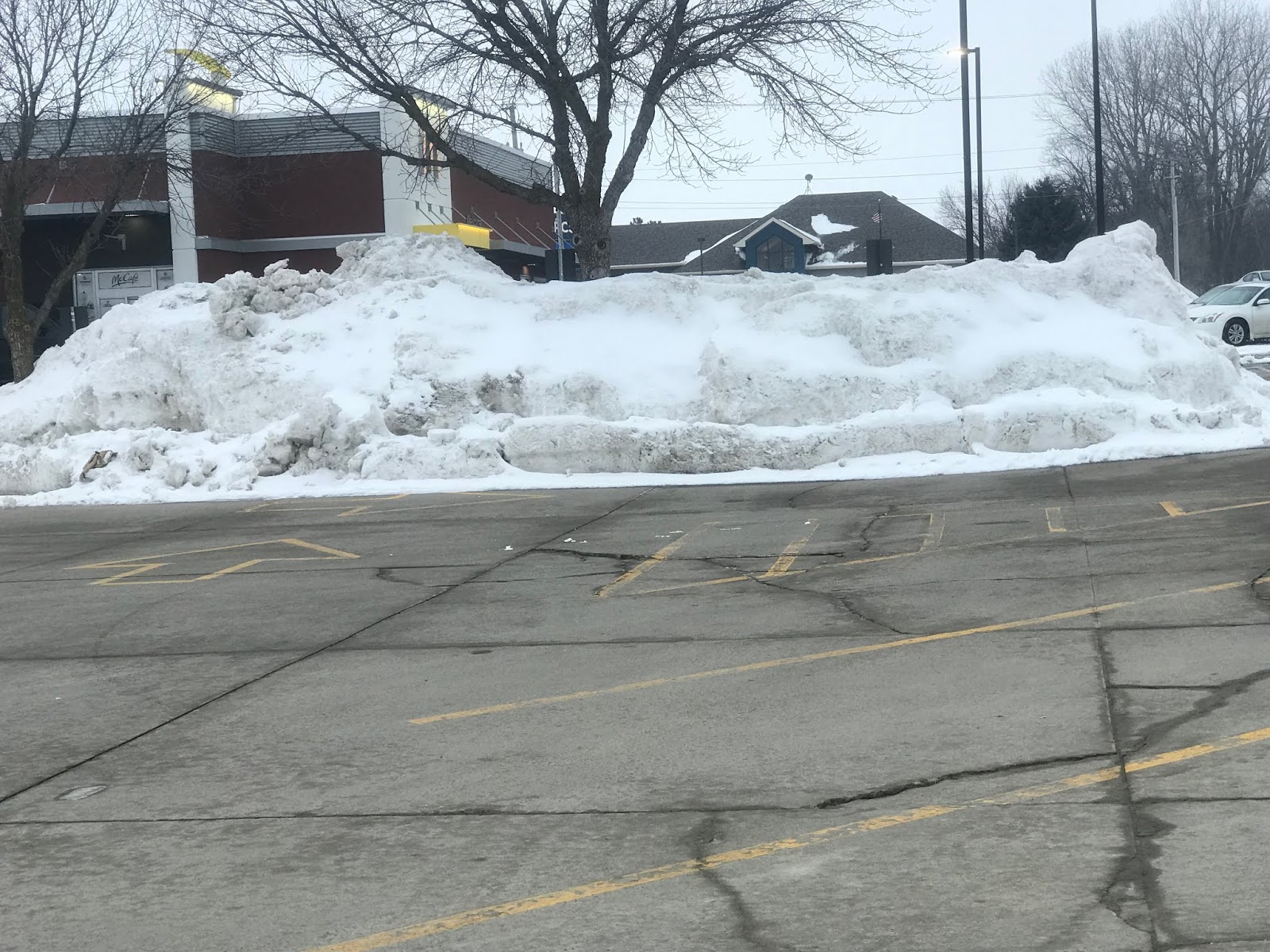 Trevor's Take March 2019