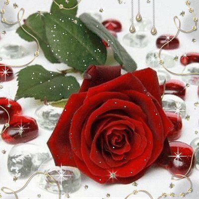 Glitering Rose Wallpapers ~ amditechnology
