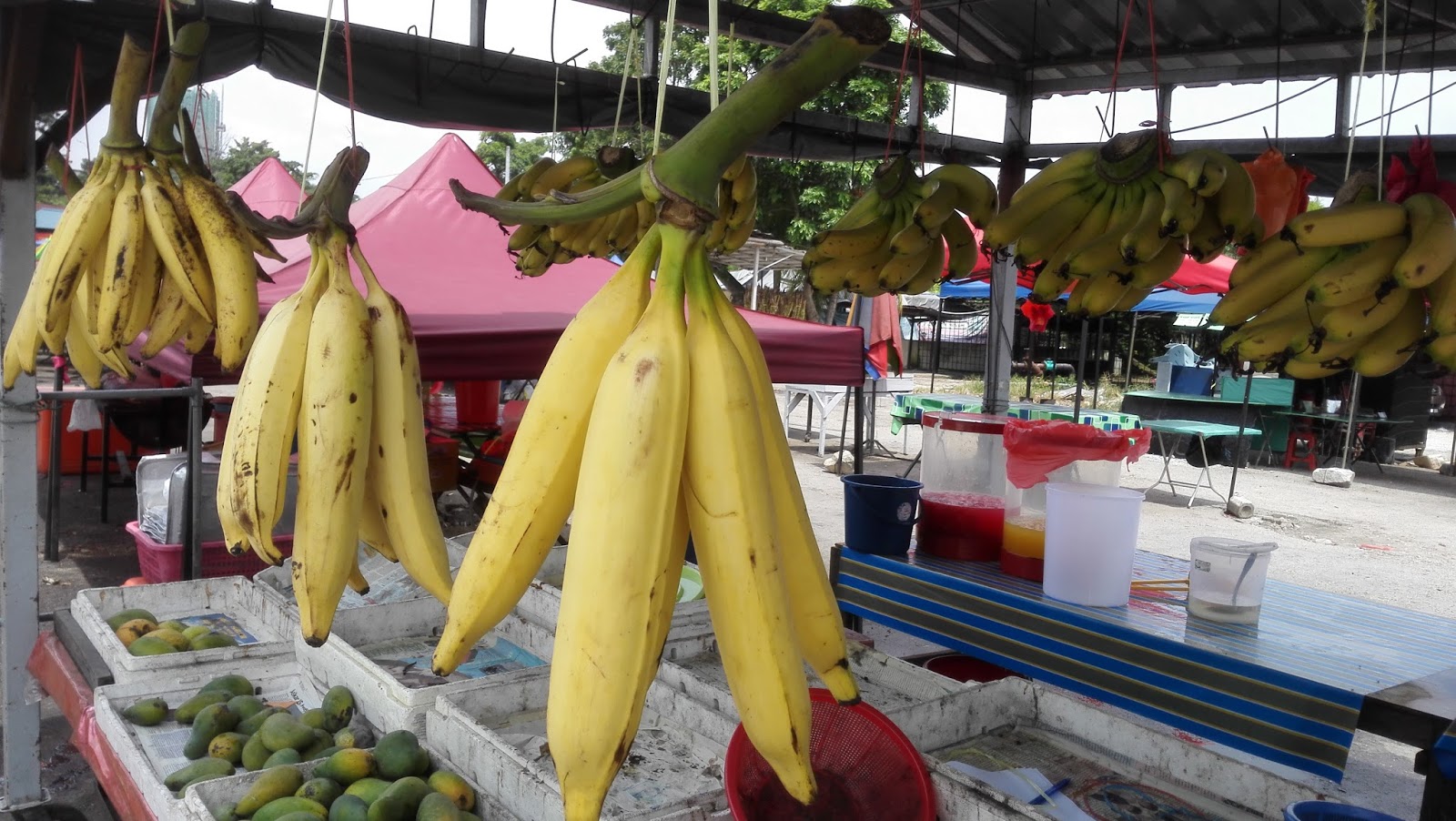 Twilight Zone World's Biggest Bananas Twilight Zone World's Biggest Bananas