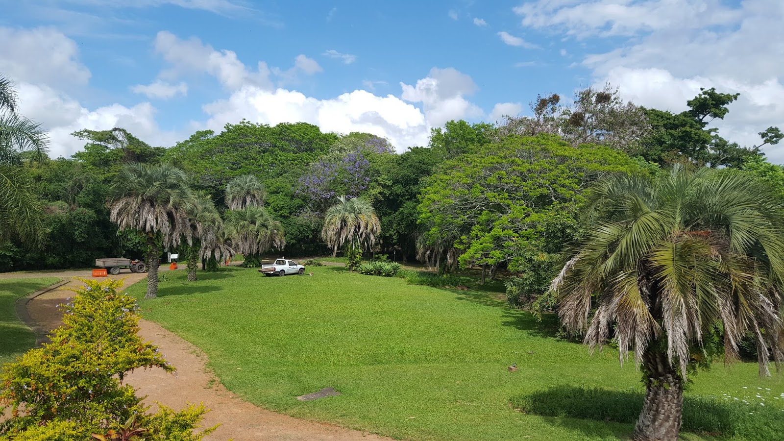 Jardim Botânico Jardim Botânico