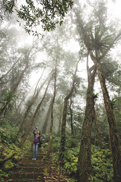 谷漢森林步道1 谷漢森林步道1