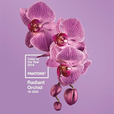 Сияющая Орхидея Radiant Orchid цвет года 2014 модные украшения