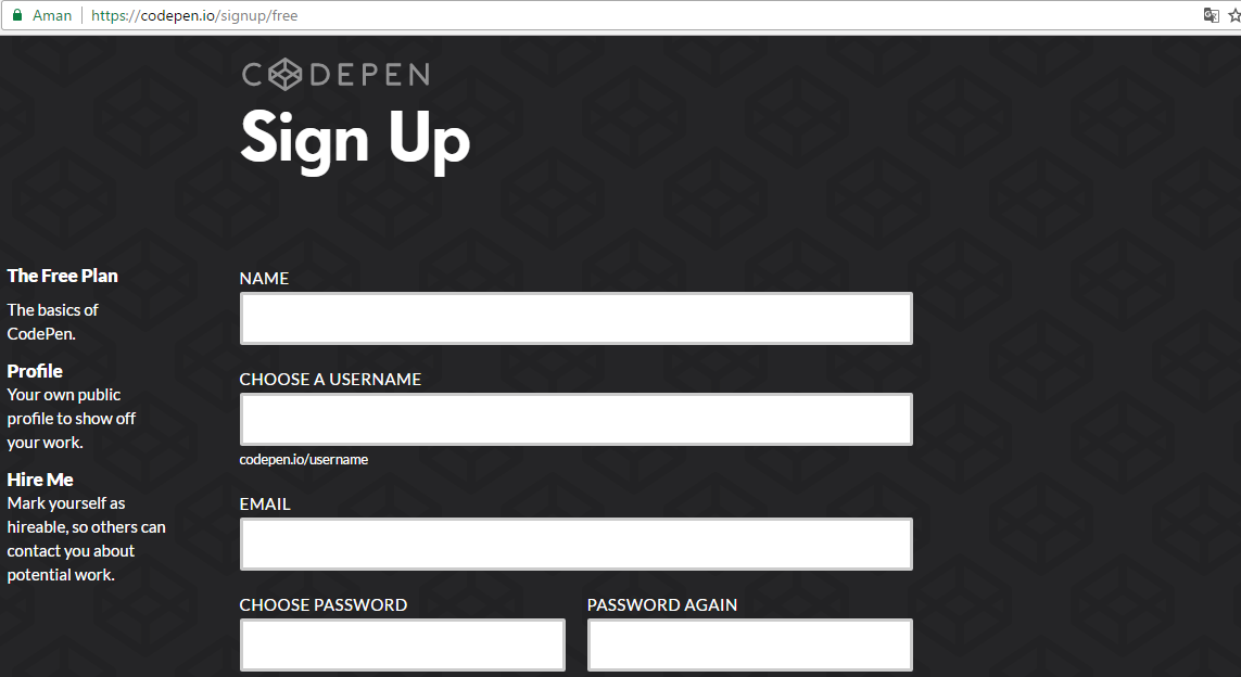 Примеры сайтов на CODEPEN. Сайт на CODEPEN очень простой. Как сделать сайт в CODEPEN. Как в CODEPEN вставить картинку в CODEPEN. Codepen pen