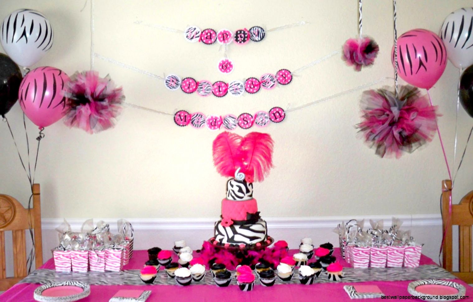 Hot Pink and Zebra Birthday Party