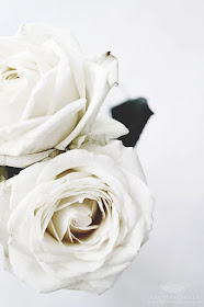 Inspiration Daily - White Roses - Cool Chic Style Fashion