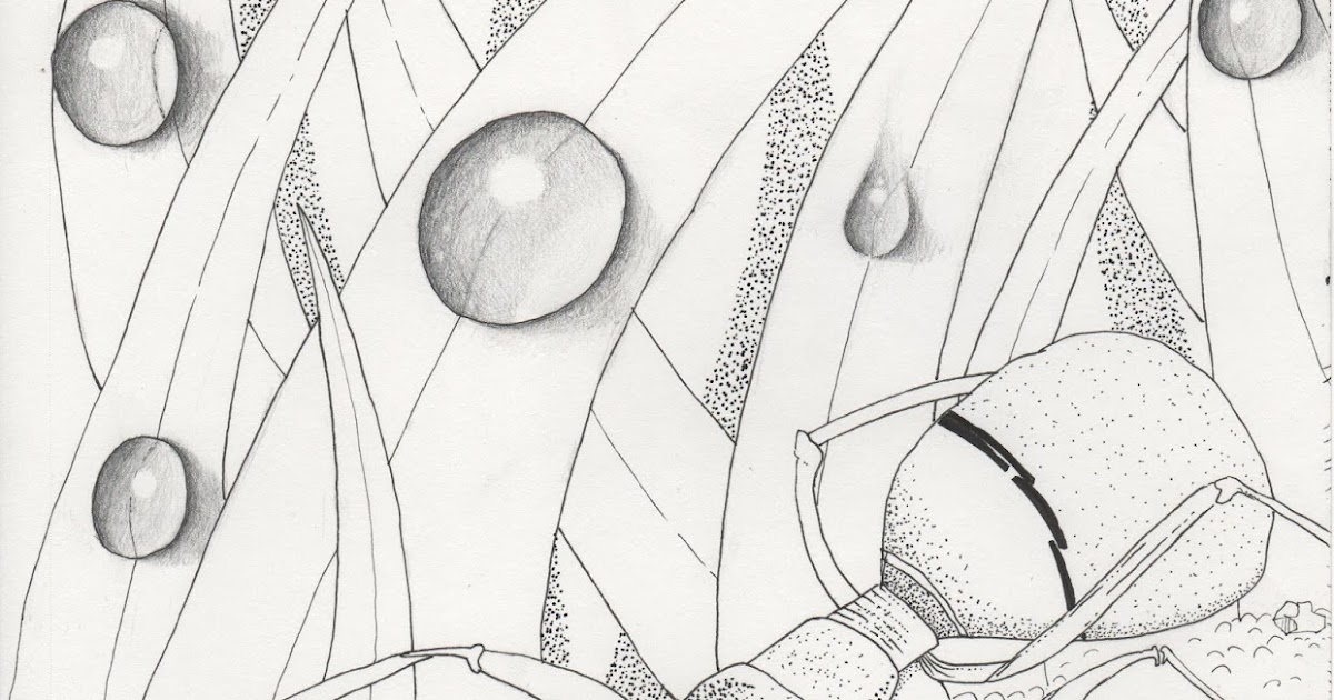 Art by Dea What Coloring With One Graphite Pencil Taught Me