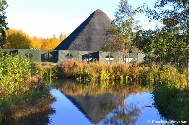Walk with wildfowl at the London Wetland Centre - a