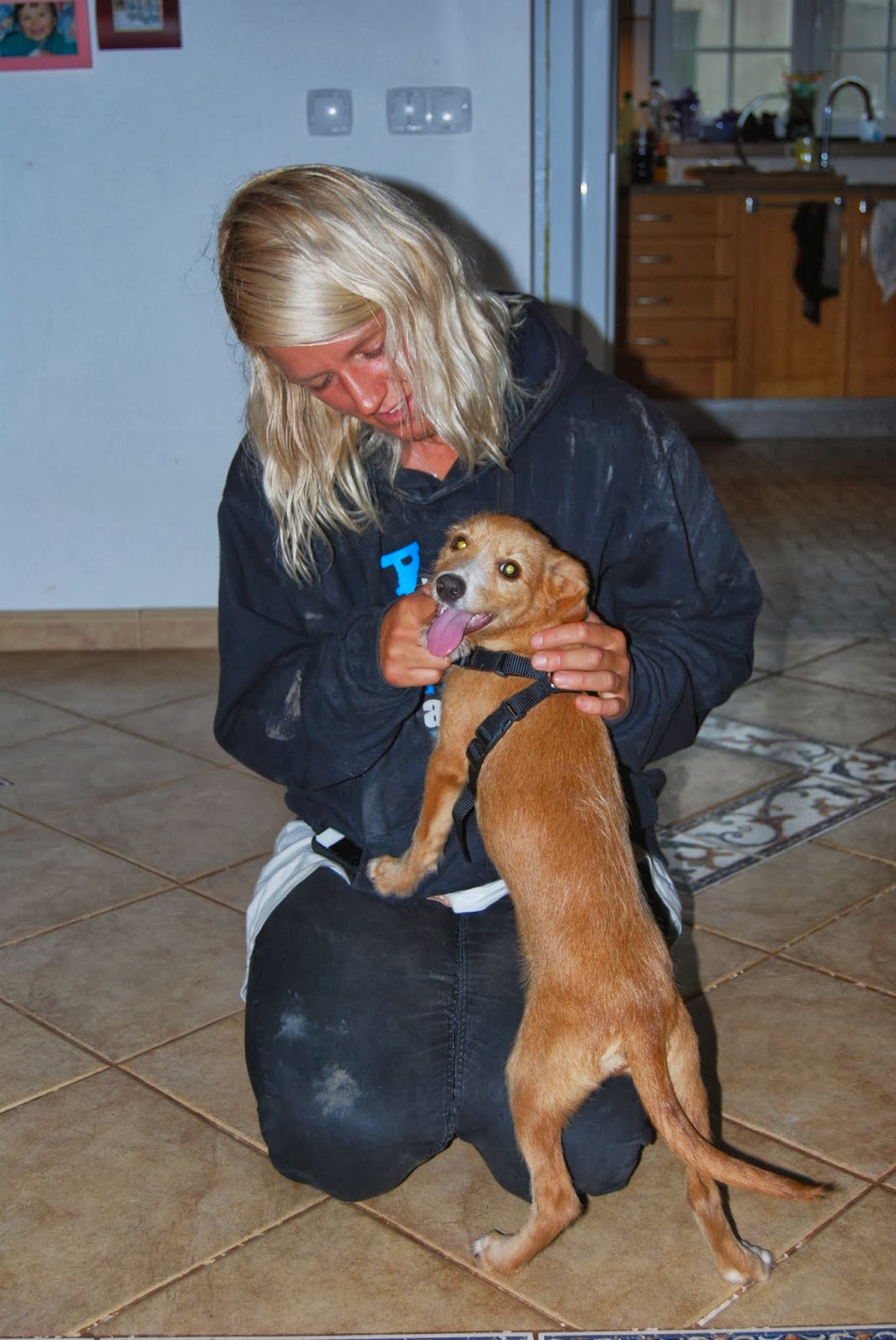 Das wahre Leben So´n büschen bekloppt ist ja ok. Hamsterkäufe?