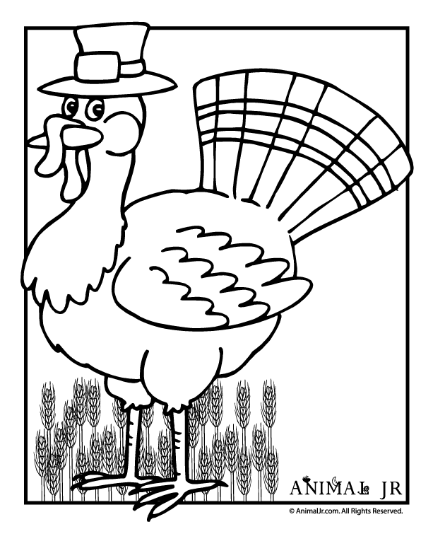 Masami Lauman: Free Coloring Pages Turkey