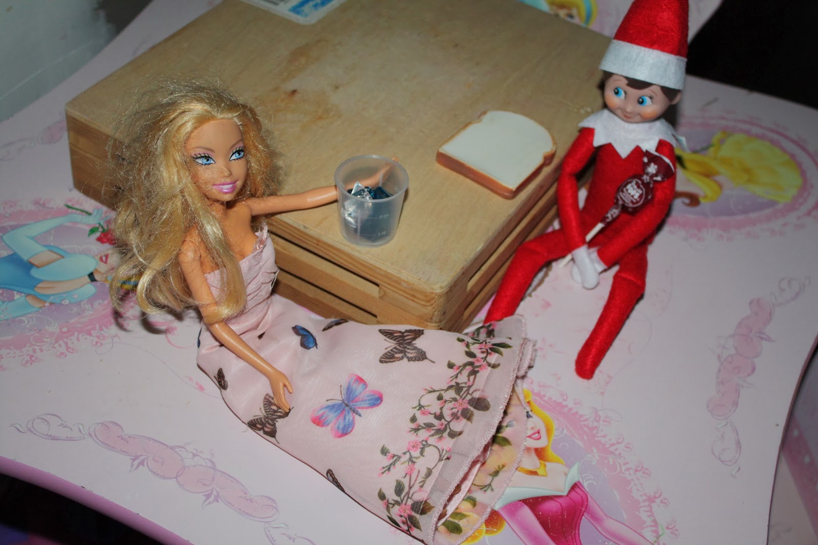 Annie's Adventures In Homeschooling!: Elf on the shelf