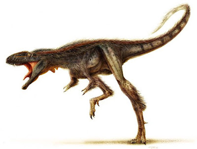 Raptorex